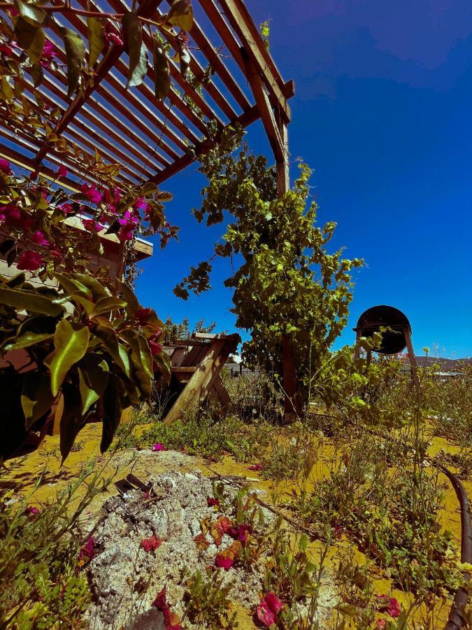 Sn Tony Hotel & Spa Villa de Juarez المظهر الخارجي الصورة